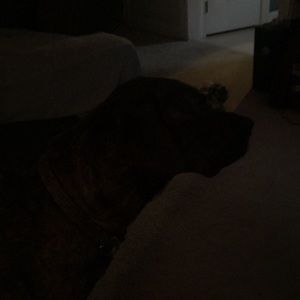 Meet your Posher, Keith